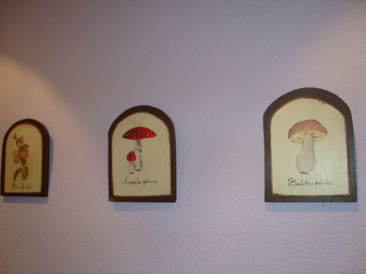 Apartamento Casa Go Torla Zewnętrze zdjęcie